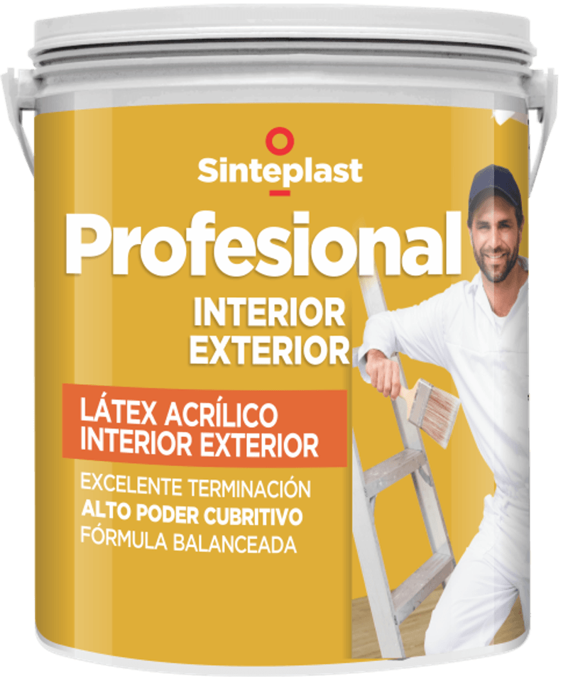 PROFESIONAL-INT-EXT
